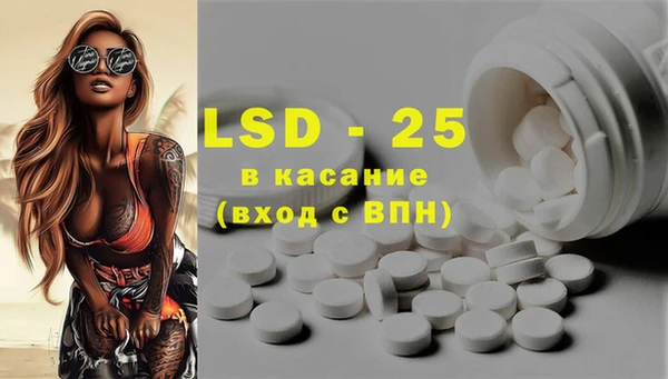 spice Лагань