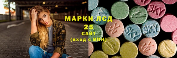 spice Лагань