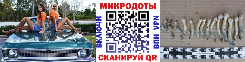 Галлюциногенные грибы MAGIC MUSHROOMS  Химки 